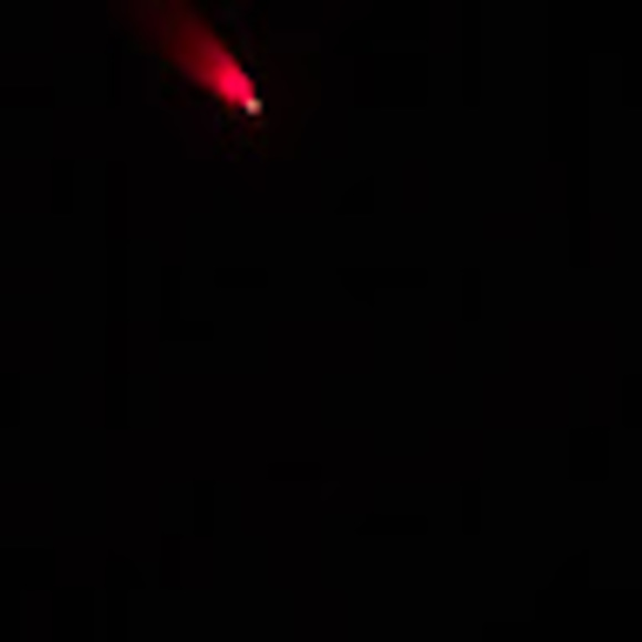 Meet your Posher, Daphne - Picture 1 of 1